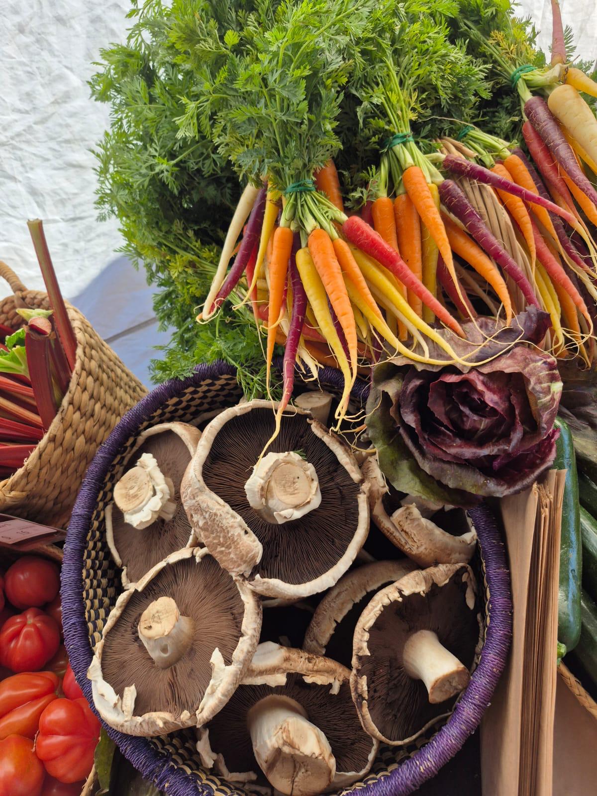 Aura Meridian Carrots and Vegetables