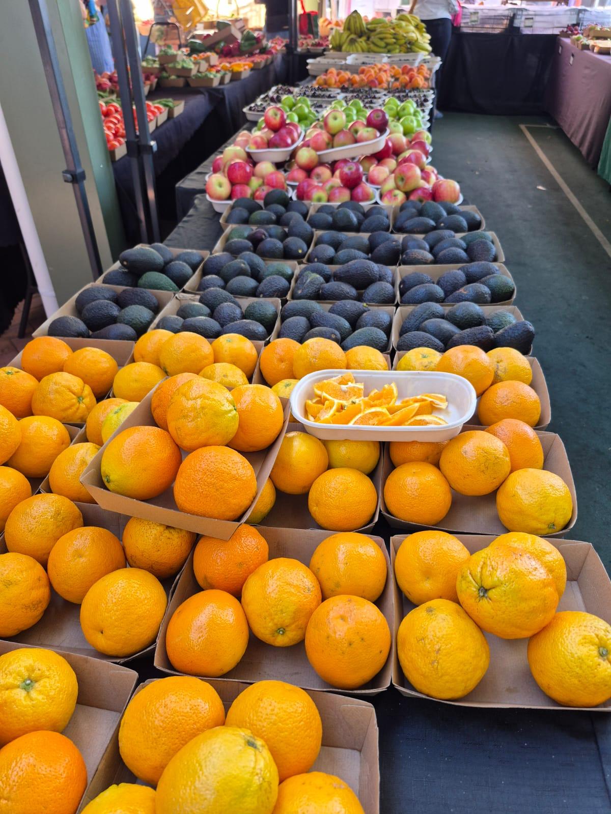 Aura Meridian Citrus Harvest