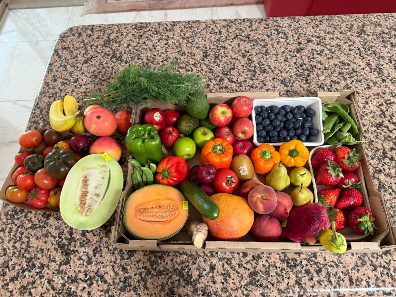 Aura Meridian Export Selection