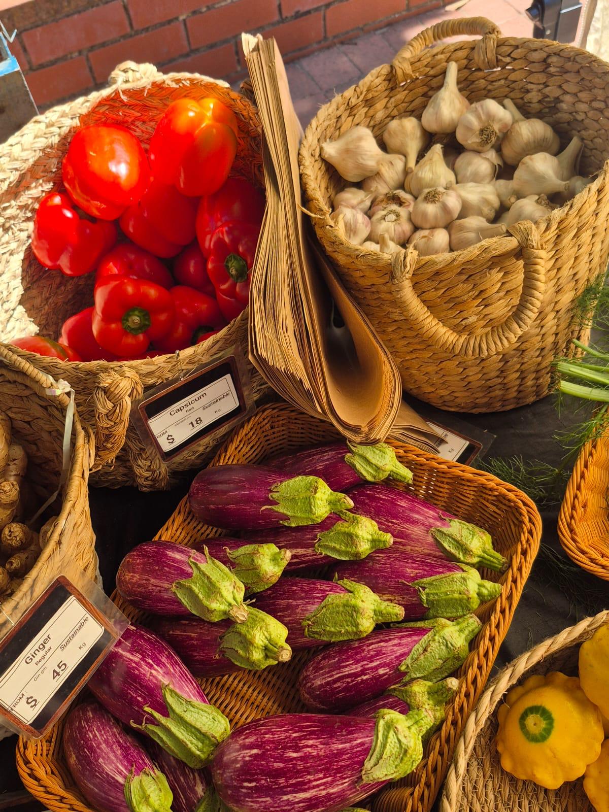Aura Meridian Peppers and Eggplant